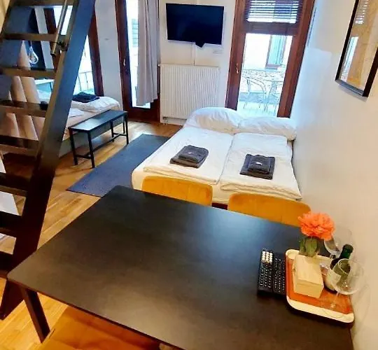 Mooki Loft&garden In Sohobudapest 布达佩斯